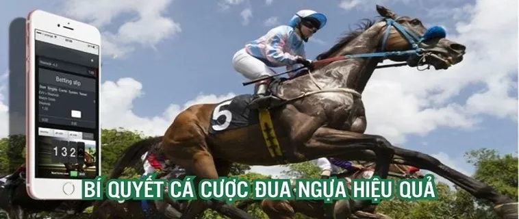 Tìm Hiểu Cá Cược Đua Ngựa VG99 Tối Ưu Kèo Win Place Exacta 2 Tìm Hiểu Cá Cược Đua Ngựa VG99 Tối Ưu Kèo Win Place Exacta